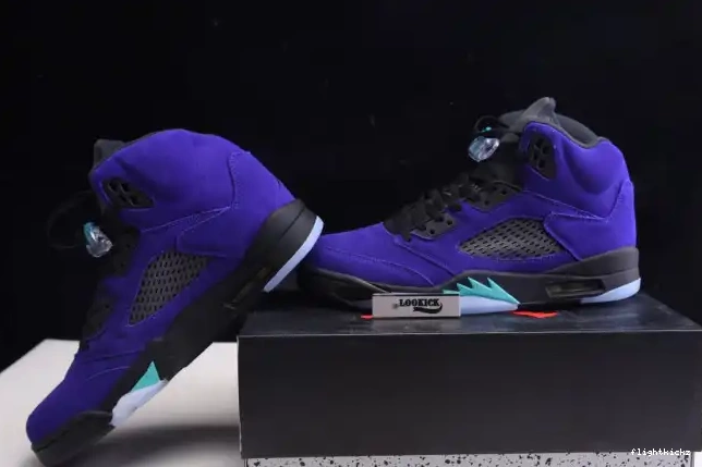 Grape 136027-500 Alternate 5 Retro Jordan Air 0509
